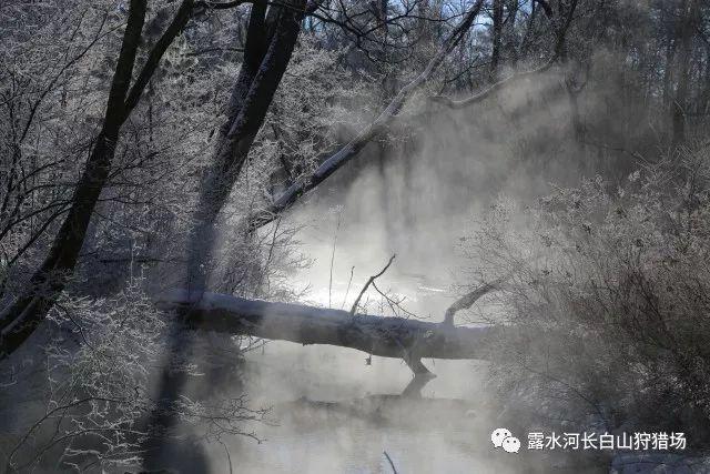 项羽的分封