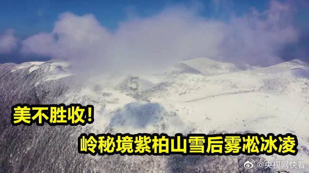 高通骁龙8 Gen4回归自研架构:多核成绩超越苹果A18