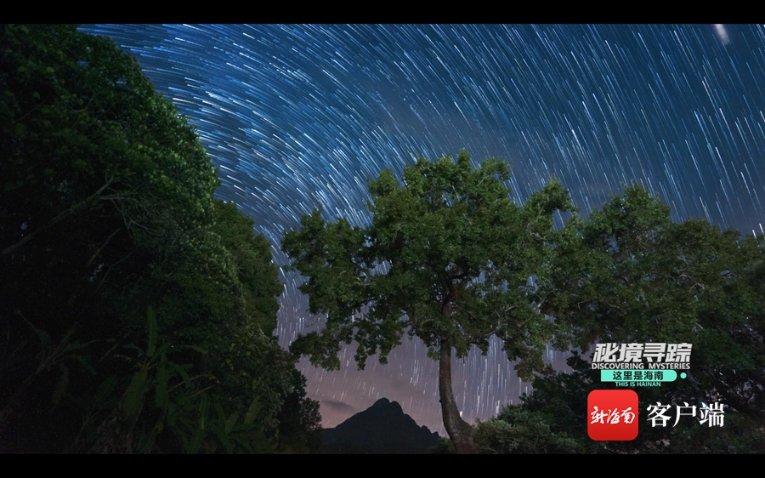 创作猫