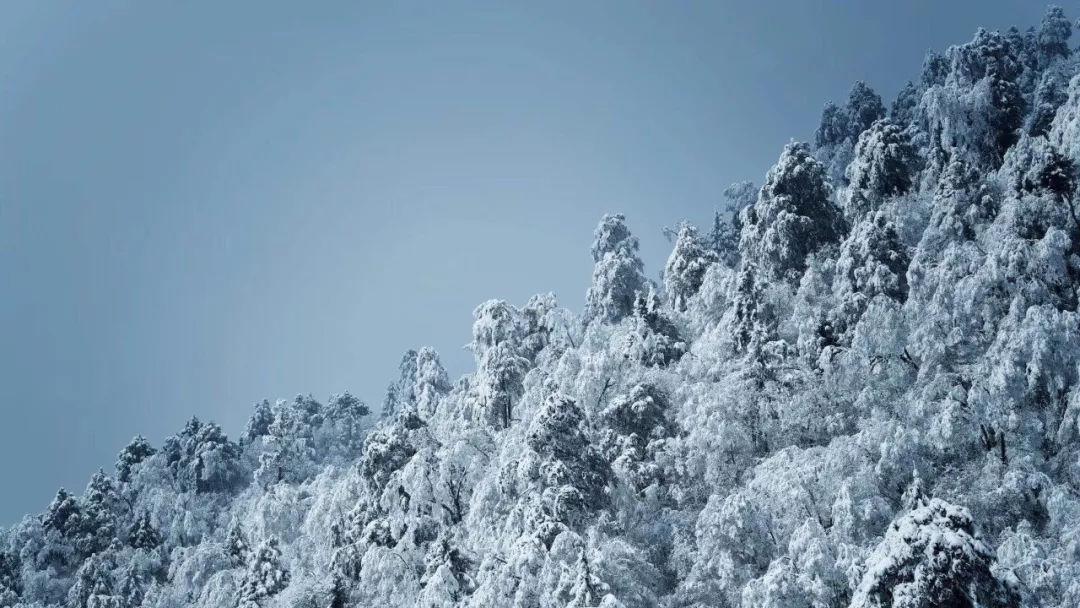 扬州往返乌鲁木齐列车来了!沿途经停多个省份,坐在车中便可欣赏中原、西北的大美风貌!
