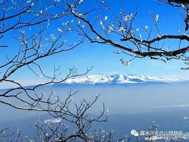 妖言惑众