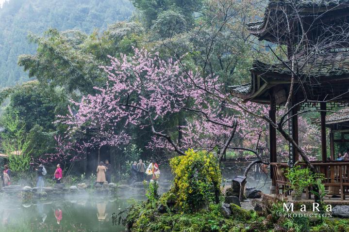 经常化妆的人突然不化妆了，为什么看起来气色很差呢？游戏画面