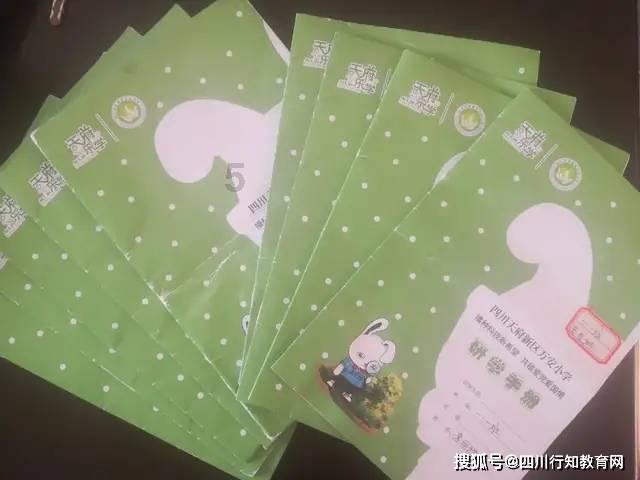 小猫钓鱼正版下载中文版