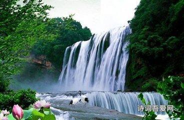哪位大大能告诉这是什么意思啊？