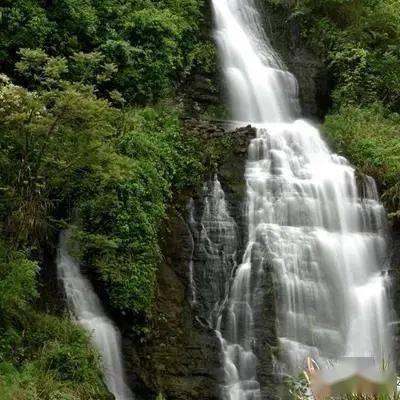 小猫钓鱼开船版最新版下载