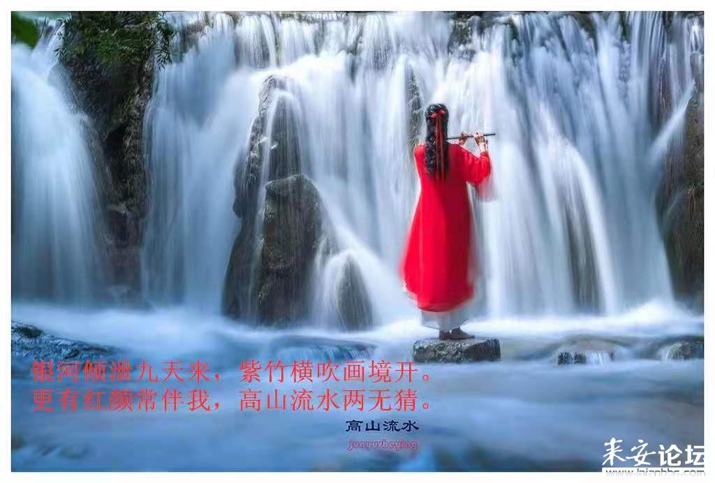 植物大战僵尸15