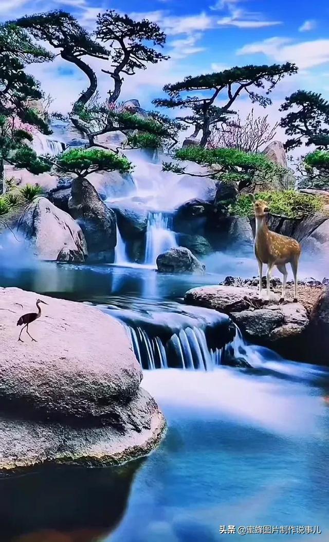探探猫之飞天萌猫