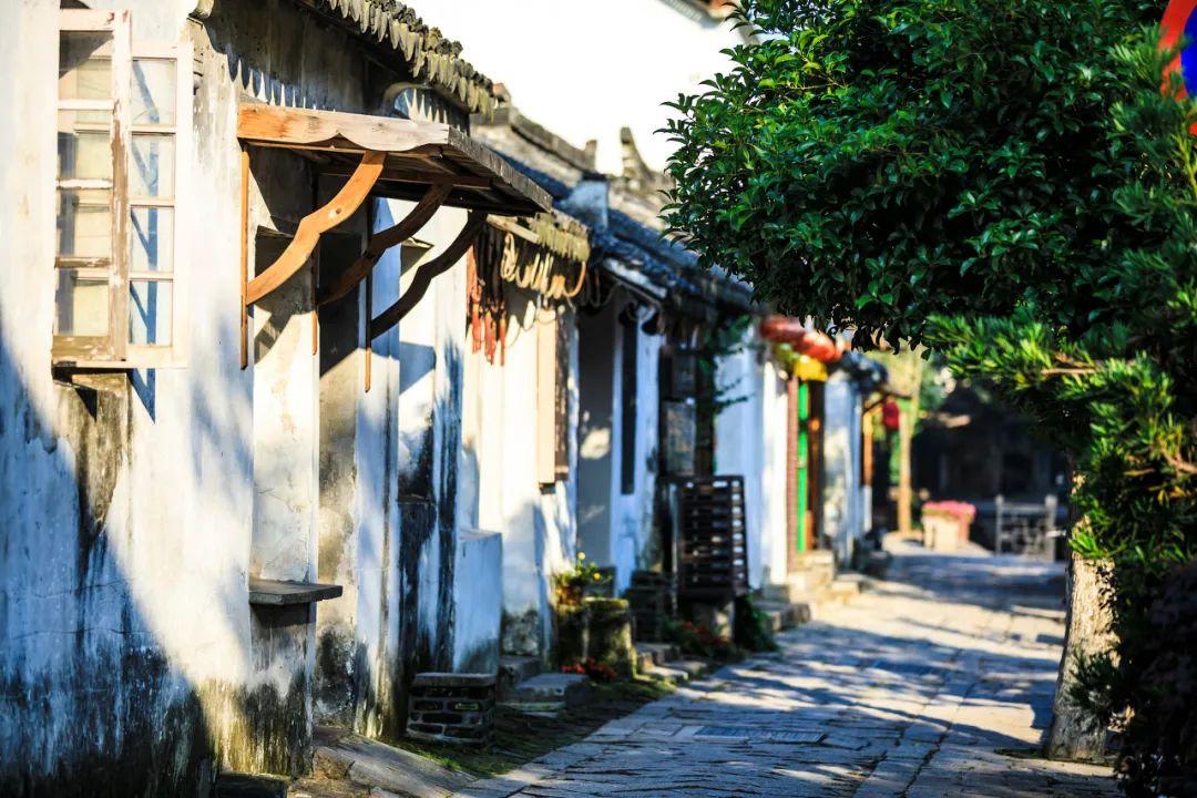 探索为什么这只红色的金鱼一直在水面上。但那个黑的却一直在水底下。那只红色的是不是得病了。,发现共同兴趣社区