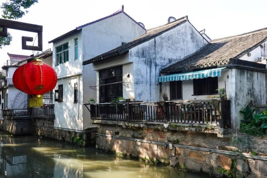 饥饿的哈利