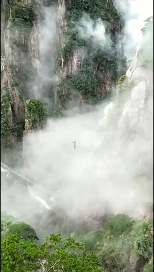 印台区财政局多举措推进乡村振兴实现“开门红”
