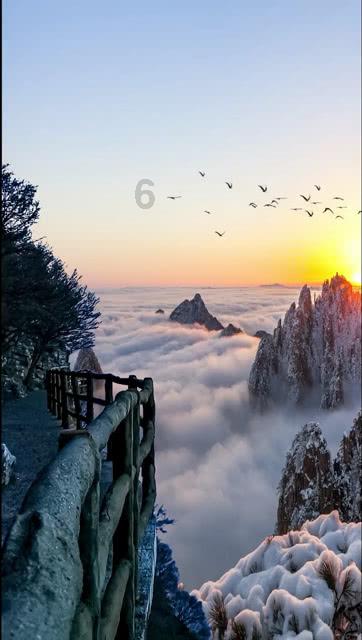 鲜奶运输车找不同